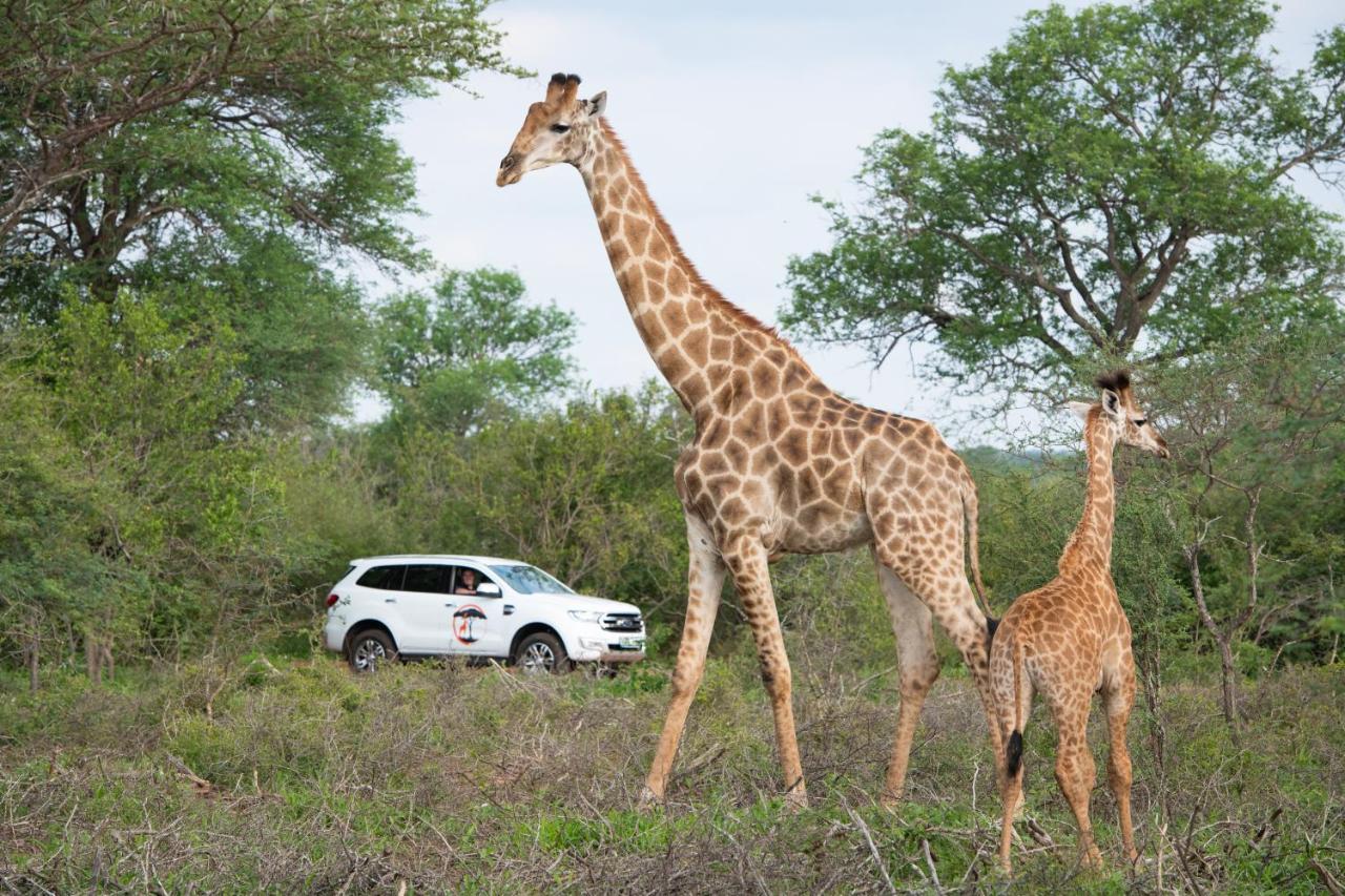 Twiga Travel Villa Hoedspruit Ngoại thất bức ảnh